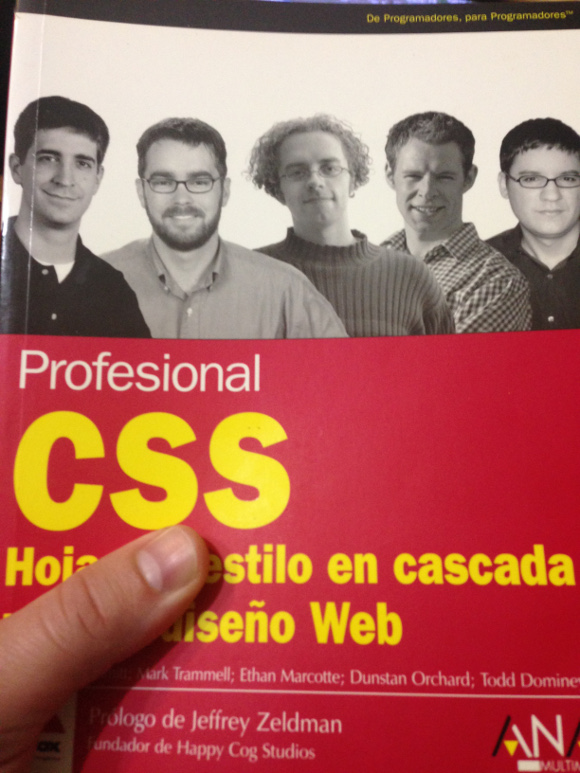 Portada del libro Profesional CSS, Hojas de estilo en cascada para el diseño Web
