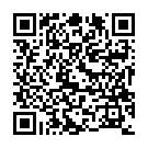 C&oacute;digo QR con el enlace al titular PeÃ±a la caseta del coche de lÃ­nea