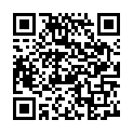 C&oacute;digo QR con el enlace al titular New Themes: iTheme 2 and Bold News