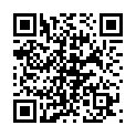 C&oacute;digo QR con el enlace al titular New Theme: Strange Little Town