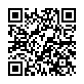 C&oacute;digo QR con el enlace al titular Fiesta PresentaciÃ³n Purple Weekend 2011