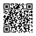 C&oacute;digo QR con el enlace al titular Premio Leteo 2011: LEDO IVO
