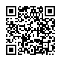 C&oacute;digo QR con el enlace al titular PAVEMENT STAMP