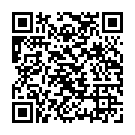 C&oacute;digo QR con el enlace al titular TWO DUCKSIPHONS