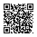 C&oacute;digo QR con el enlace al titular Â«Pudimos ganarÂ»