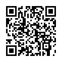 C&oacute;digo QR con el enlace al titular Elecciones 2011 -S.Castelao 37