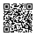 C&oacute;digo QR con el enlace al titular RecopilaciÃ³n de incidencias 20N
