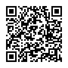 C&oacute;digo QR con el enlace al titular Un coche nuevo, 24.128 euros