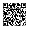 C&oacute;digo QR con el enlace al titular New Themes: Shaan and Adventure Journal
