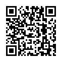 C&oacute;digo QR con el enlace al titular La pulga que soÃ±aba.