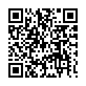 C&oacute;digo QR con el enlace al titular AL FILO DEL AIRE / AgustÃ­n-Vicente SuÃ¡rez Alonso: Tapa de alcantarilla