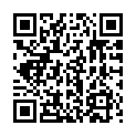 C&oacute;digo QR con el enlace al titular Tunnel Bravo