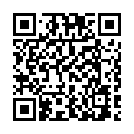 C&oacute;digo QR con el enlace al titular El iPad te permite monitorizar cualquier vehÃ­culo