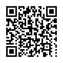 C&oacute;digo QR con el enlace al titular Se renuevan las banderas que ondean en el Ayuntamiento de LeÃ³n