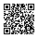 C&oacute;digo QR con el enlace al titular Papercut