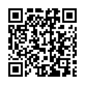 C&oacute;digo QR con el enlace al titular Veinte aÃ±os sin minas