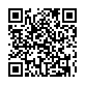 C&oacute;digo QR con el enlace al titular Â¿QuiÃ©n visitÃ³ LeÃ³n en 2011?