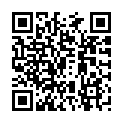 C&oacute;digo QR con el enlace al titular Cuarta ciberbotillada