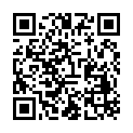 C&oacute;digo QR con el enlace al titular Cuarta ciberbotillada