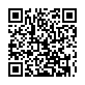C&oacute;digo QR con el enlace al titular La revoluciÃ³n indignada protagoniza el 2011