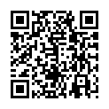 C&oacute;digo QR con el enlace al titular Feliz 2012