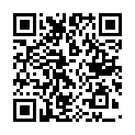C&oacute;digo QR con el enlace al titular Los Reyes Magos a todo tren por Toral