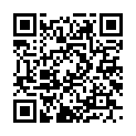 C&oacute;digo QR con el enlace al titular Hay vida mÃ¡s allÃ¡ de Megaupload
