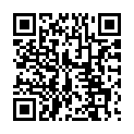 C&oacute;digo QR con el enlace al titular Vuelos regulares e irregulares