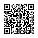 C&oacute;digo QR con el enlace al titular Seis puertos con cadenas en la red secundaria