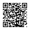 C&oacute;digo QR con el enlace al titular NIGHT LIGHTS