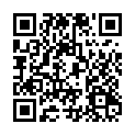 C&oacute;digo QR con el enlace al titular Lost Type Blog