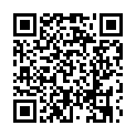 C&oacute;digo QR con el enlace al titular EL CHASCARRILLO: Autoridad pÃºblica