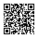 C&oacute;digo QR con el enlace al titular EL TIRALÃNEAS / Jorge Callado: Estamos locos