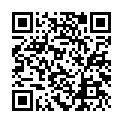 C&oacute;digo QR con el enlace al titular GuÃ­a de huelga