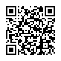 C&oacute;digo QR con el enlace al titular Un coyantino de oro