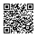 C&oacute;digo QR con el enlace al titular TESTEANDO LA LOCALIZACiÃ“N