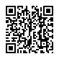 C&oacute;digo QR con el enlace al titular LANDSFAKES - FAKESCAPES