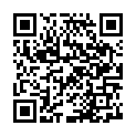 C&oacute;digo QR con el enlace al titular New Theme: Sundance