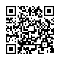 C&oacute;digo QR con el enlace al titular Los alcaldes opinan