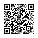 C&oacute;digo QR con el enlace al titular Custom CSS gets an upgrade