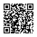 C&oacute;digo QR con el enlace al titular EL CHASCARRILLO: Nocturnidad