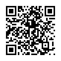 C&oacute;digo QR con el enlace al titular Partido benÃ©fico 