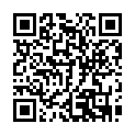 C&oacute;digo QR con el enlace al titular Pinedo luce galones