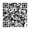 C&oacute;digo QR con el enlace al titular Toral en Tren 2012-cartel