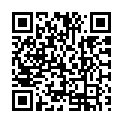 C&oacute;digo QR con el enlace al titular Mis iconos pochos