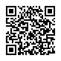 C&oacute;digo QR con el enlace al titular New Theme: A Simpler Time