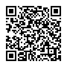 C&oacute;digo QR con el enlace al titular La Virgen â€˜subiÃ³â€™ sin cohetes ni tracas
