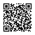 C&oacute;digo QR con el enlace al titular Toral en Tren 2012