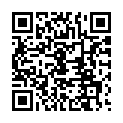 C&oacute;digo QR con el enlace al titular Toral en Tren 2012 en YouTube