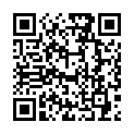 C&oacute;digo QR con el enlace al titular &iquest;Qu&eacute; &ldquo;avenida&rdquo; aqu&iacute;?